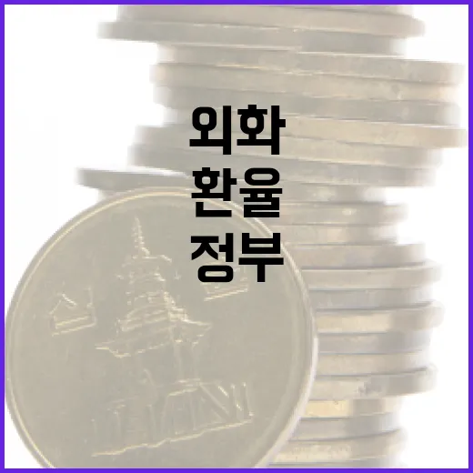정부, 환율 변동 대비 외화예산 관리 강화