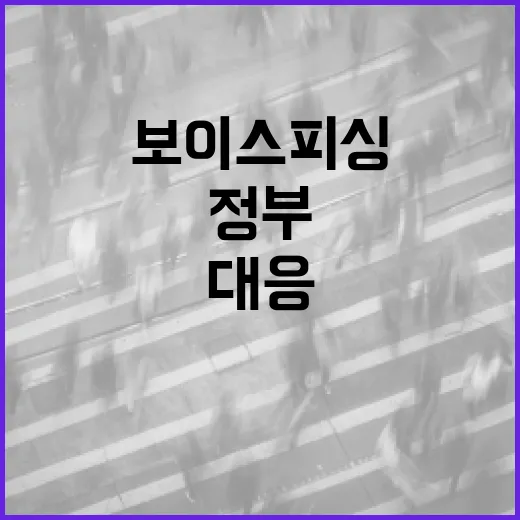 보이스피싱 급감, 정부 통합대응 효과