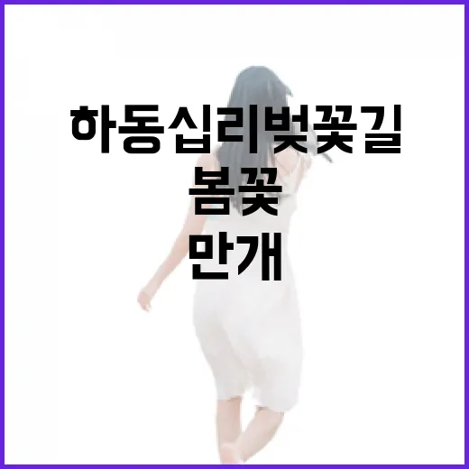 하동 십리벚꽃길 만개, 봄꽃 명소 완벽 가이드