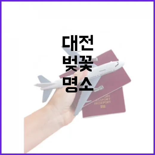 대전 목척교 벚꽃과 야경 명소