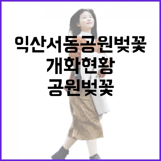 익산 서동공원 벚꽃길 개화 현황과 봄 산책