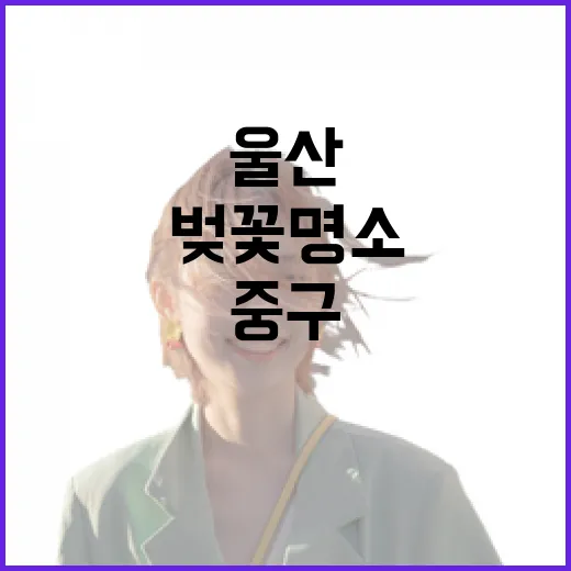 울산 중구 벚꽃 명소 3선