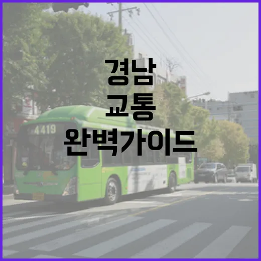 경남 맞춤형 교통서비스 완벽 가이드