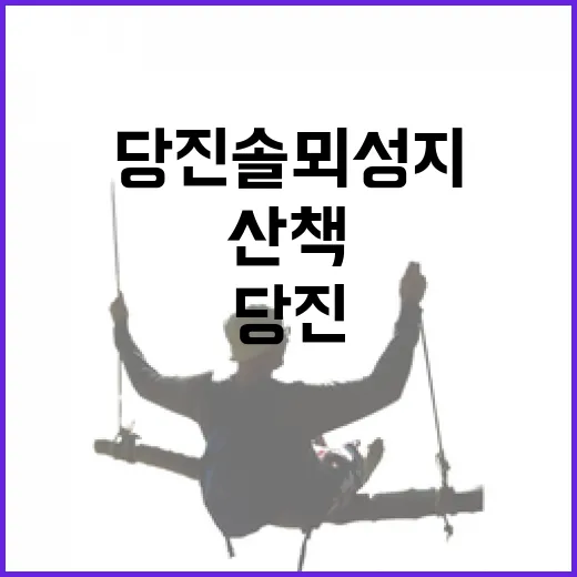 당진 솔뫼성지, 역사와 산책의 만남