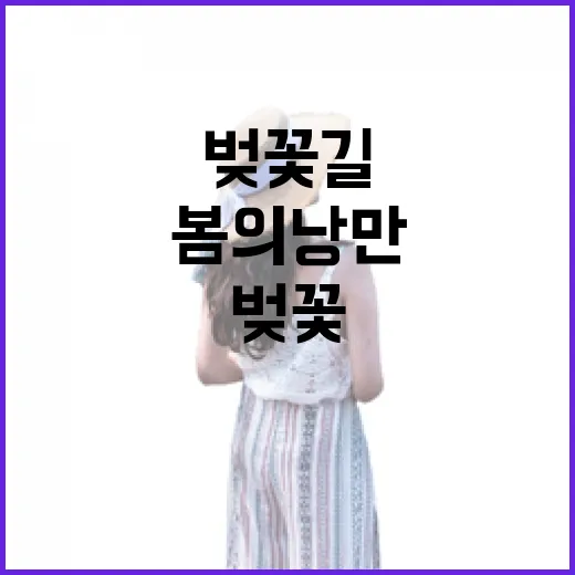 보은 벚꽃길축제, 봄의 낭만을 걷다