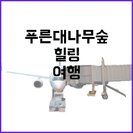 푸른 대나무 숲 품은 홍성 죽도 힐링 여행