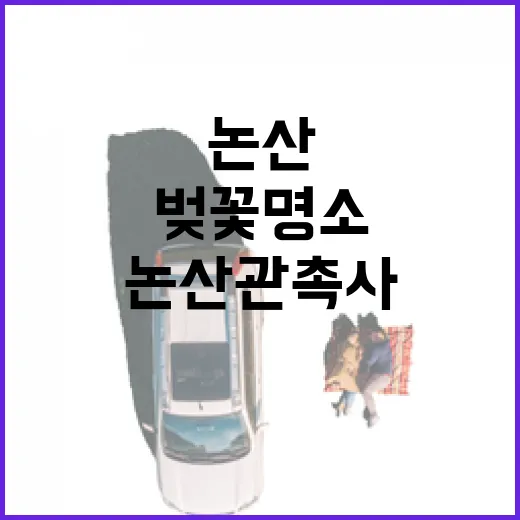 논산 관촉사 벚꽃 명소 봄꽃 산책