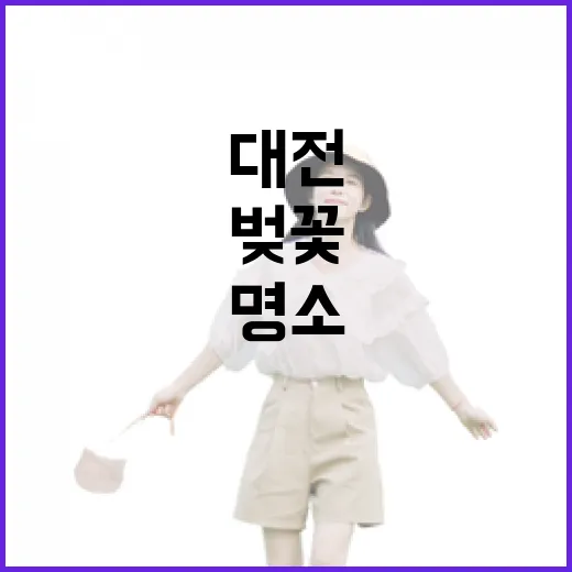 대전 유등천 벚꽃길 산책 명소