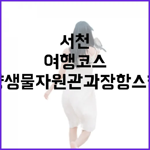 서천 국립해양생물자원관과 장항 스카이워크 여행 코스