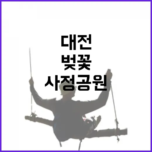 대전 사정공원 벚꽃 만개 풍경