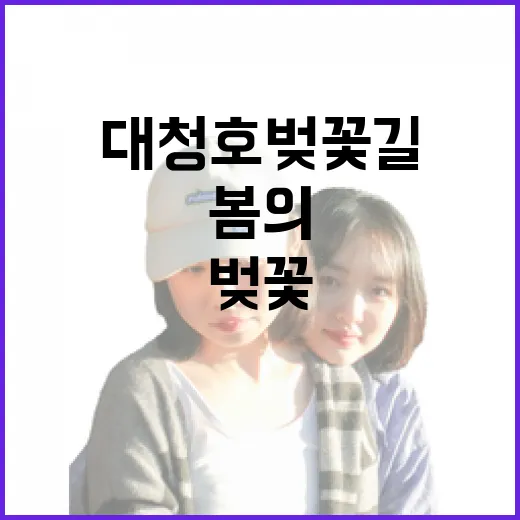 대청호 벚꽃길, 봄의 절경을 걷다