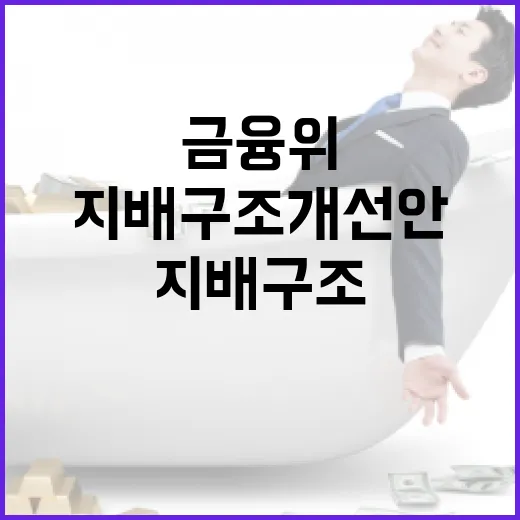 금융위, 지배구조 개선안 구체화 전 신중 강조