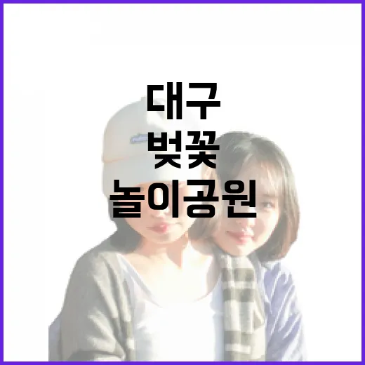 대구 수성랜드 벚꽃과 놀이공원 만끽