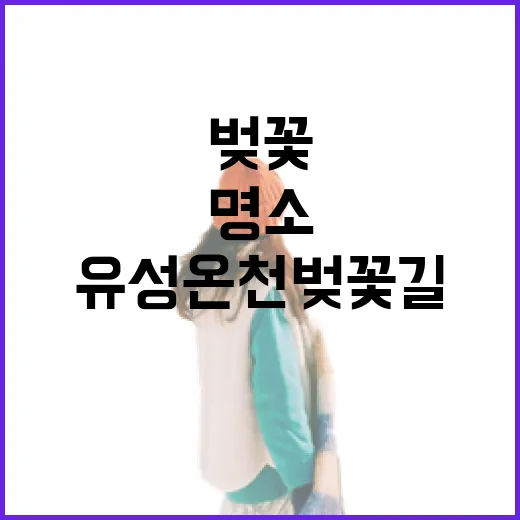 유성온천 벚꽃길, 도심 속 봄 힐링 명소