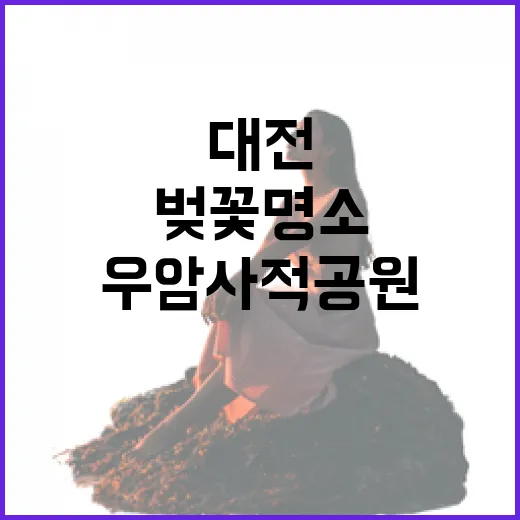 대전 우암사적공원 벚꽃 명소 집중 탐방