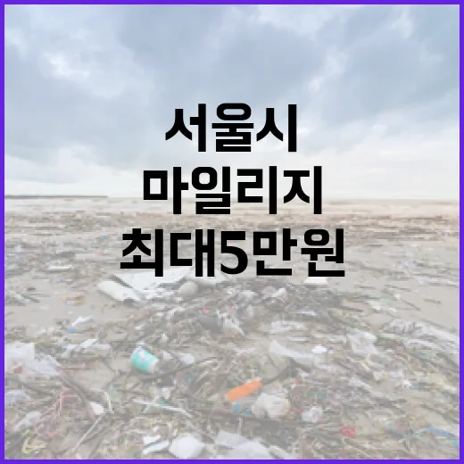 서울시 에코마일리지 특별 이벤트로 최대 5만원 혜택