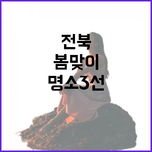 전북 봄맞이 산책 명소 3선