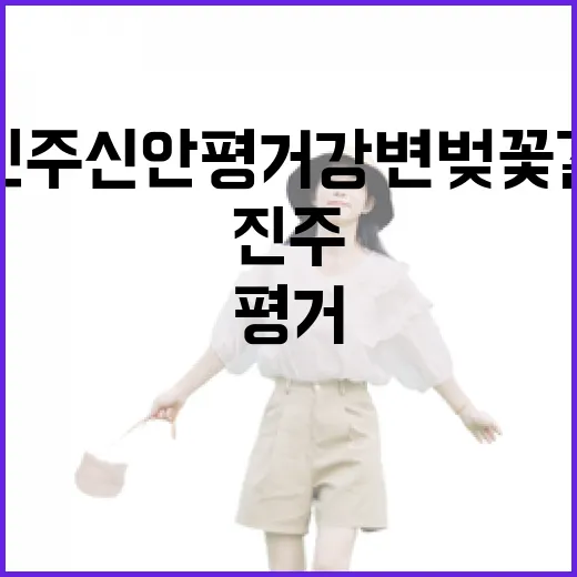 진주 신안 평거 강변 벚꽃길 봄 풍경