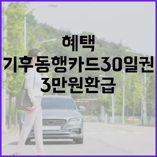 기후동행카드 30일권 3만원 환급 혜택 집중 분석