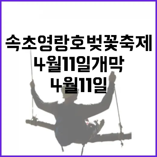 속초 영랑호 벚꽃축제 4월 11일 개막