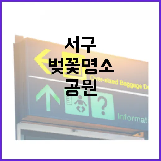 인천 서구 신석체육공원 벚꽃 명소 총정리