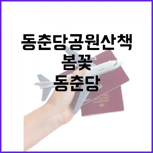 봄꽃과 역사가 어우러진 동춘당공원 산책