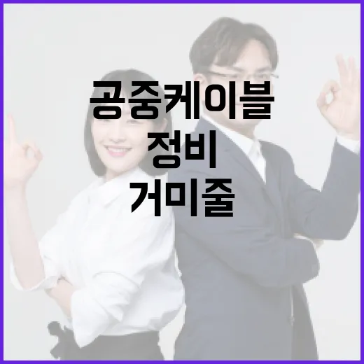 거미줄 공중케이블 13만본 대대적 정비
