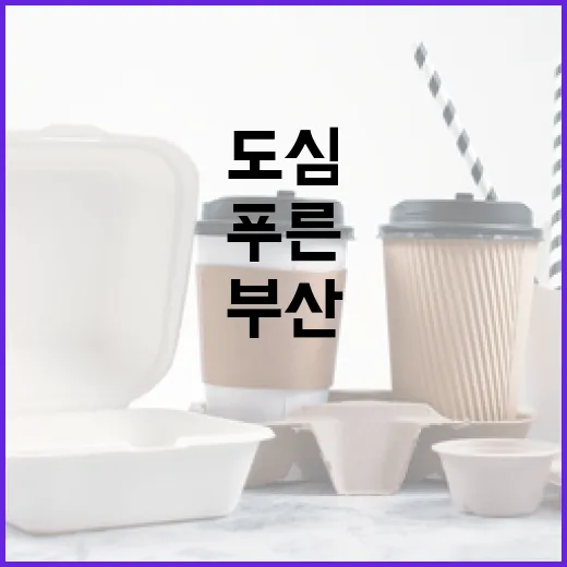 부산 도심에 푸른 도시숲 대대적 조성