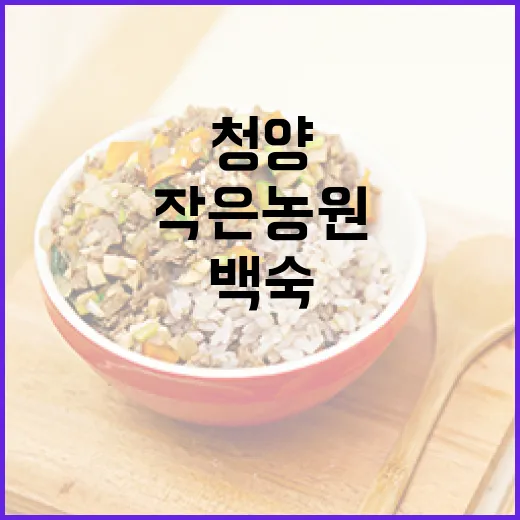 청양 작은농원, 환절기 보양식 백숙 명가