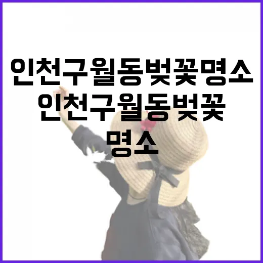 인천 구월동 벚꽃 명소 3선 산책길