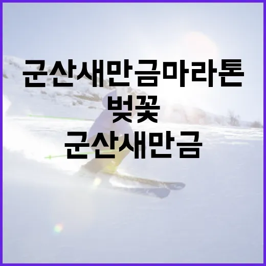 벚꽃길 달린 군산 새만금마라톤 20주년
