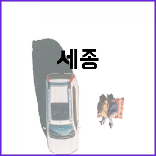 세종 조천변 벚꽃길 봄 절경 현장