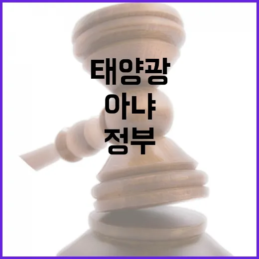 정부 태양광 지원, 특정국 이익설 사실 아냐