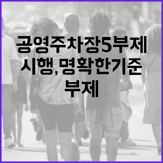 공영주차장 5부제 시행, 명확한 기준과 지원책