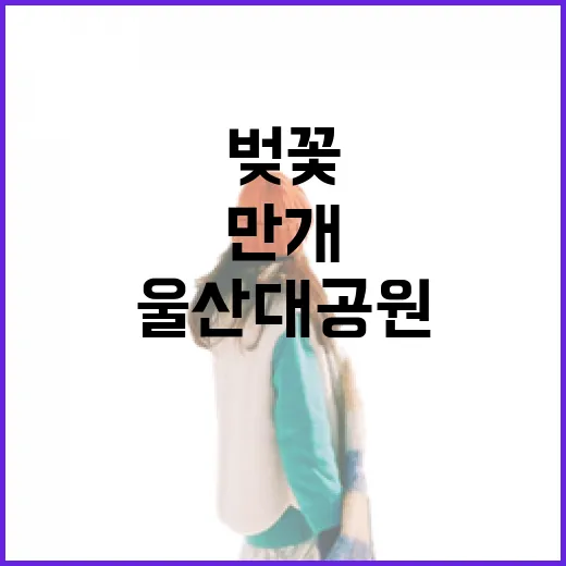 울산대공원 벚꽃 만개, 봄의 절정