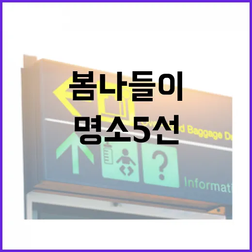 의정부 봄나들이 명소 5선