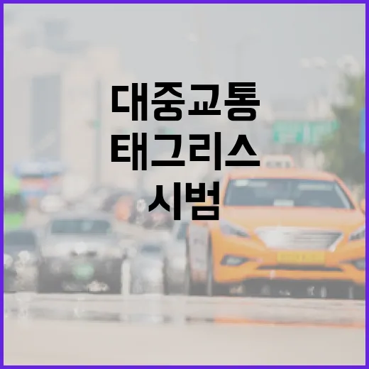 부산 태그리스 대중교통 시범운영 시작