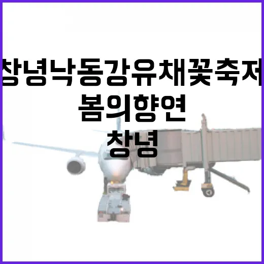 창녕 낙동강 유채꽃 축제, 봄의 향연