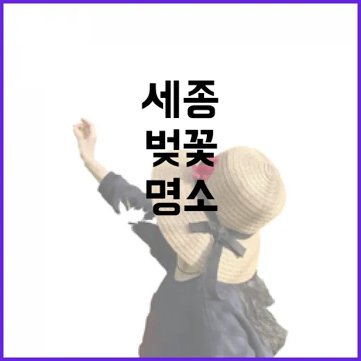 세종 고운동 벚꽃길 3대 명소 집중 조명