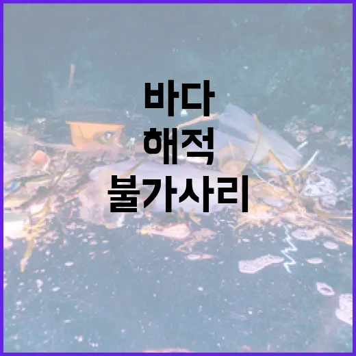 바다해적 불가사리 성게로 친환경 의류 개발