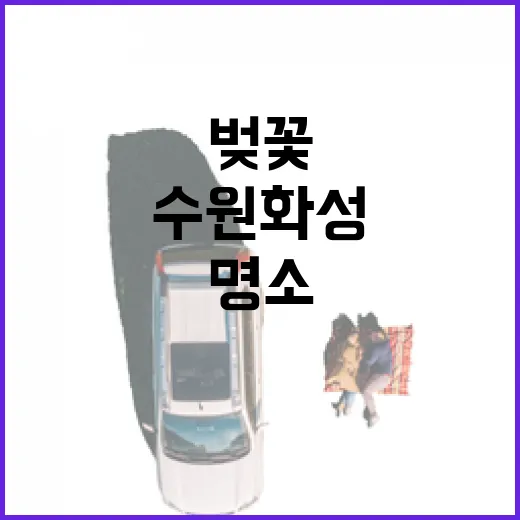 수원화성, 벚꽃 명소로 새롭게 태어나다