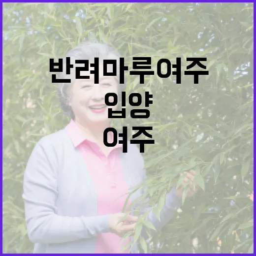 반려마루 여주에서 나무 심고 입양 응원한 날
