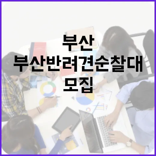 부산 반려견 순찰대, 전역 확대 모집 시작