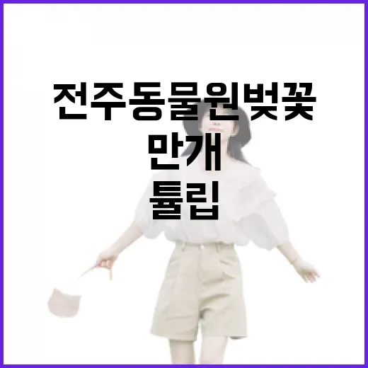 전주동물원 벚꽃과 튤립 만개 소식