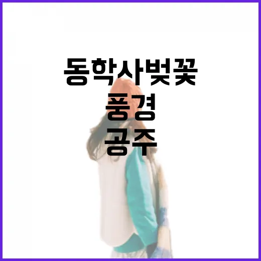 공주 동학사 벚꽃축제 현장 풍경