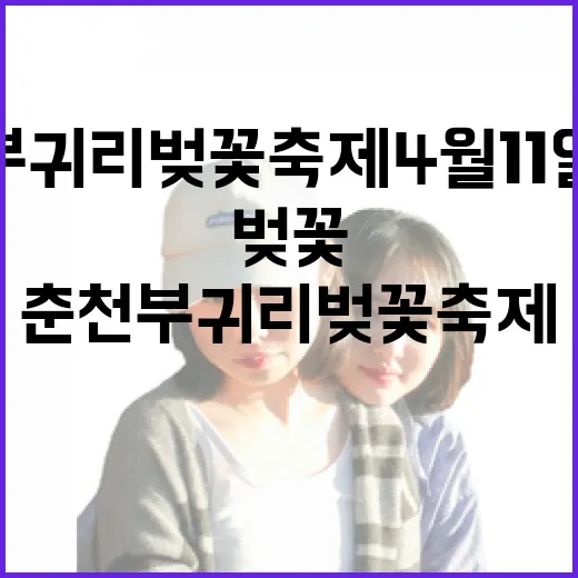 춘천 부귀리 벚꽃축제 4월 11일 개막