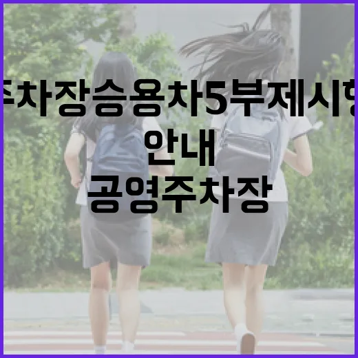 공영주차장 승용차 5부제 시행 안내