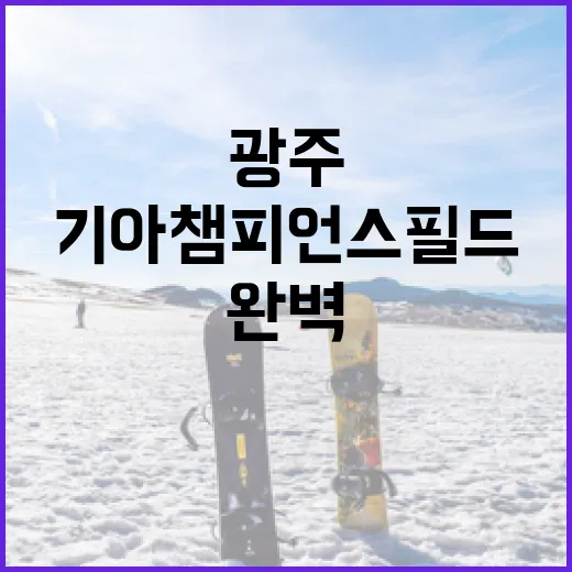 광주-기아챔피언스필드 완벽 가이드