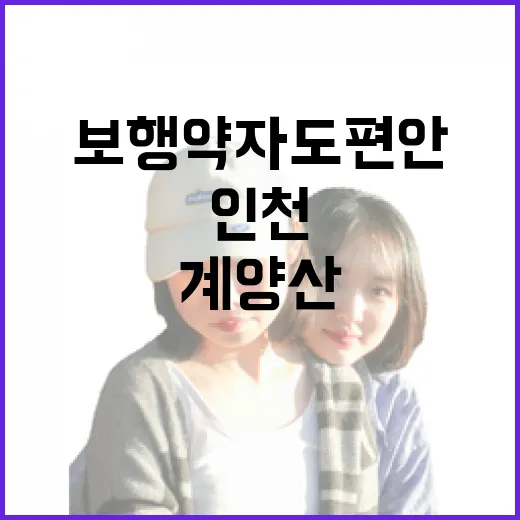 보행 약자도 편안한 인천 계양산 무장애 숲길 완벽 가이드