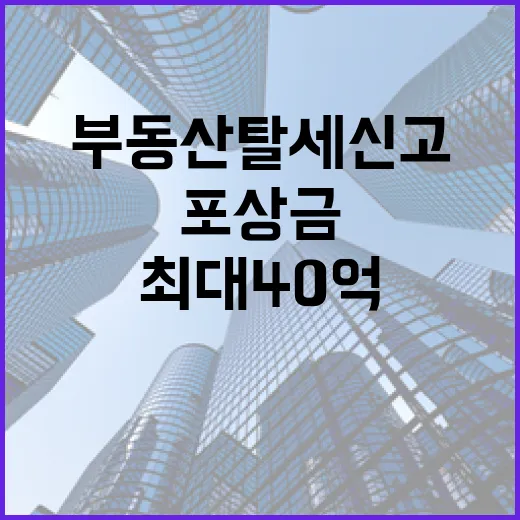 부동산 탈세 신고 최대 40억 포상금